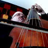 Acoustic Guitar Lessons, Double Bass Lessons, Electric Bass Lessons, Electric Guitar Lessons, Viola Da Gamba Lessons, Music Lessons with Dr. Phillip W. Serna.