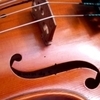 Violin Lessons, Viola Lessons, Piano Lessons, Music Lessons with Michelle Edelman.