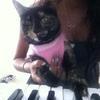 Piano Lessons, Keyboard Lessons, Music Lessons with Sophia Ibrahim .