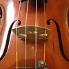 Violin Lessons, Music Lessons with Jeannie Morgenbesser.