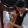 Harp Lessons, Music Lessons with Candace L. Coates.