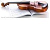 Cello Lessons, Piano Lessons, Viola Lessons, Violin Lessons, Music Lessons with Chris Klaus.