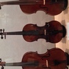Violin Lessons, Viola Lessons, Cello Lessons, Double Bass Lessons, Music Lessons with Christine Klosterman.