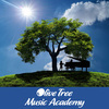 Brass Lessons, Cello Lessons, Piano Lessons, Violin Lessons, Voice Lessons, Woodwinds Lessons, Music Lessons with Olive Tree Music Academy.