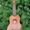 Ukulele Lessons, Acoustic Guitar Lessons, Electric Guitar Lessons, Music Lessons with Ukulele Class.