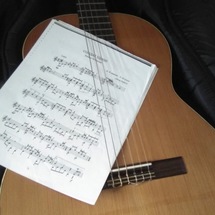 Acoustic Guitar Lessons, Piano Lessons, Violin Lessons, Music Lessons with Dani Johnson.